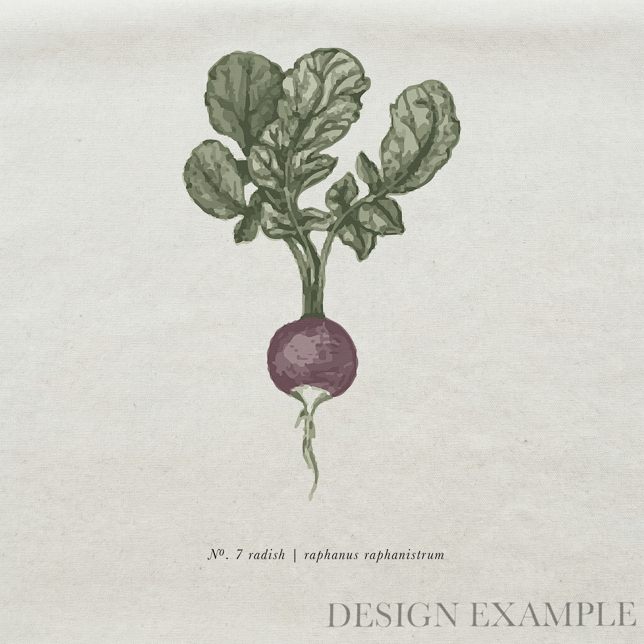 Tea Towel - Radish Watercolor