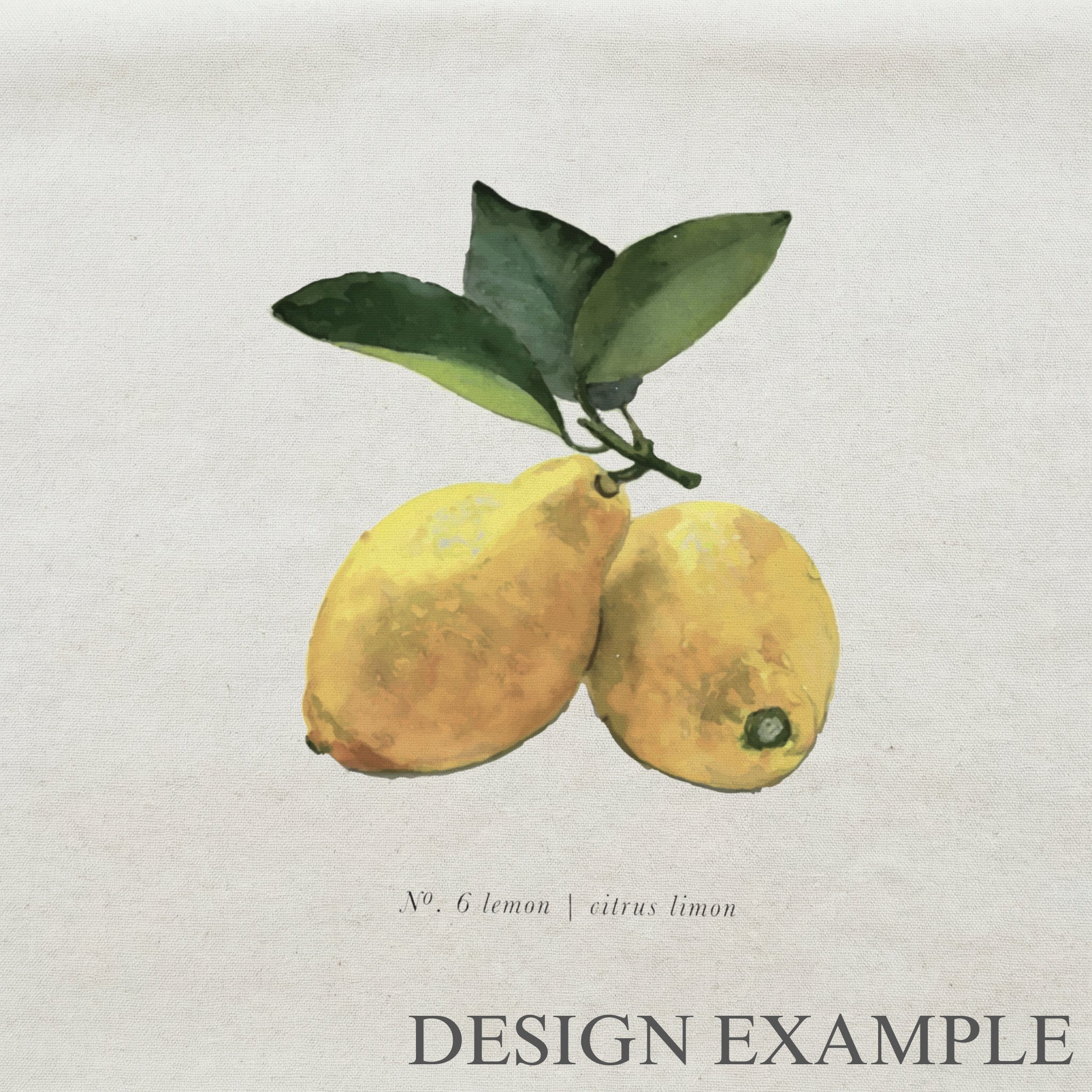 Throw Pillows - Lemons Color