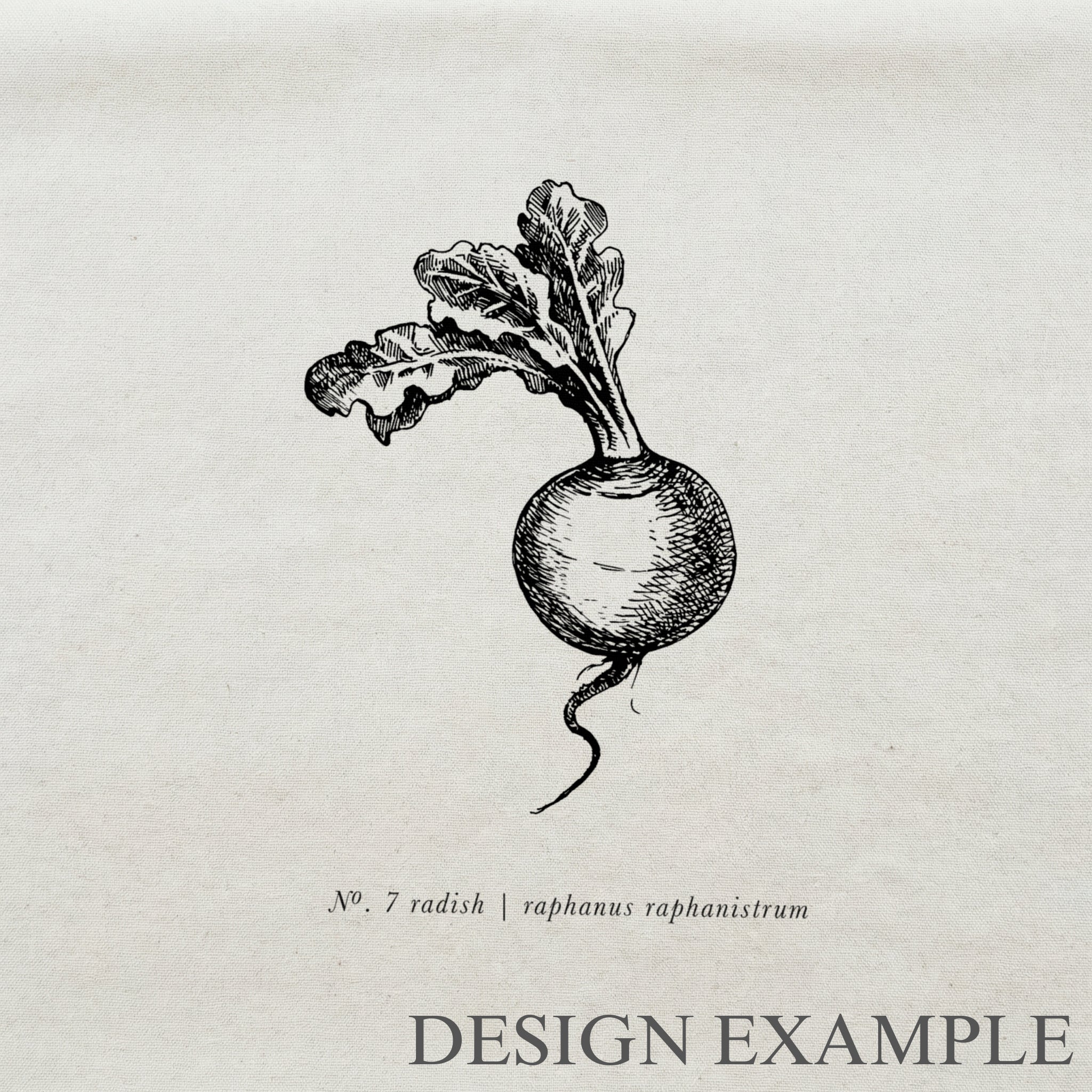 Throw Pillows - Radish Black & White