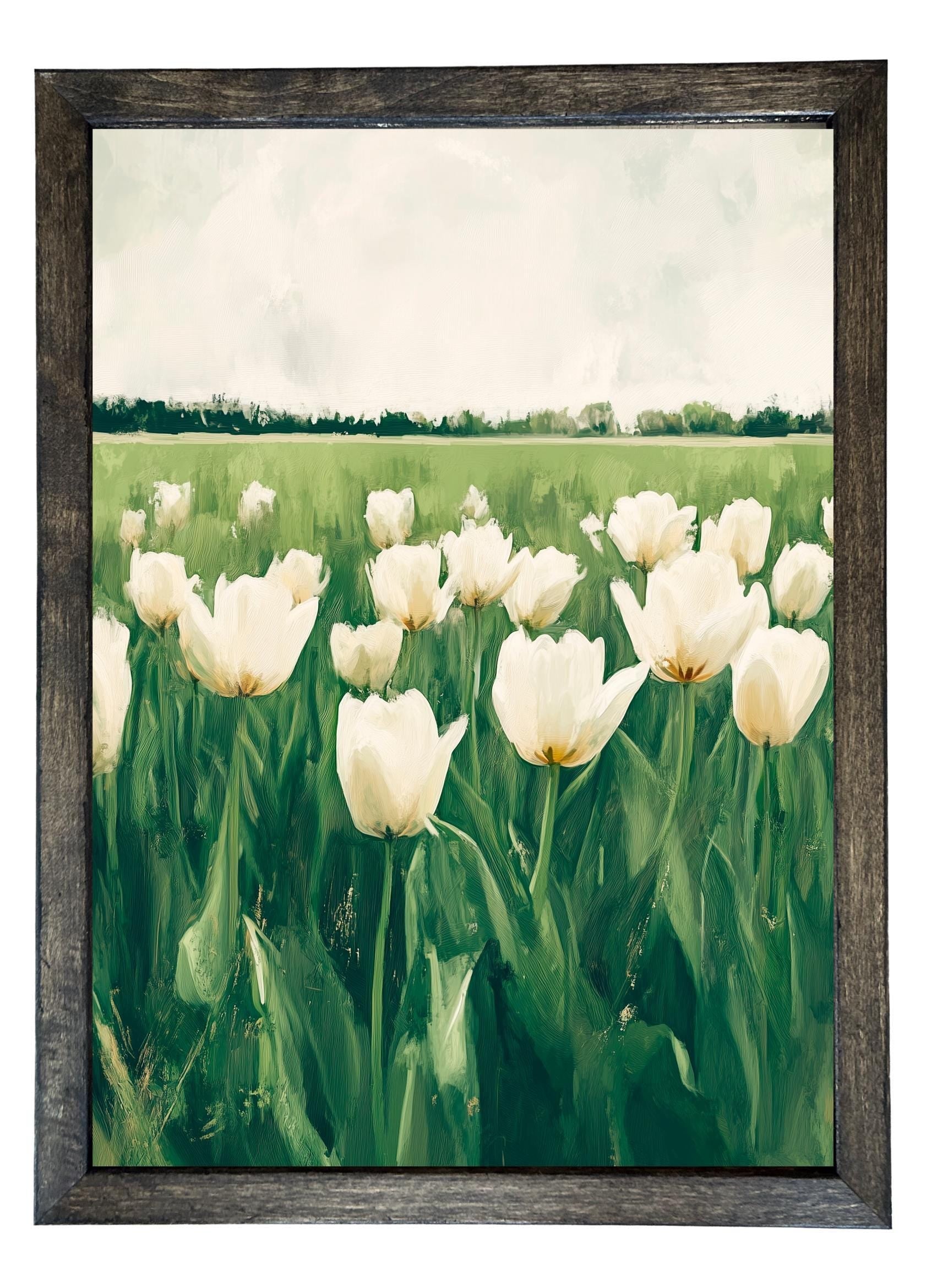 Wooden Frames - Tulip Field