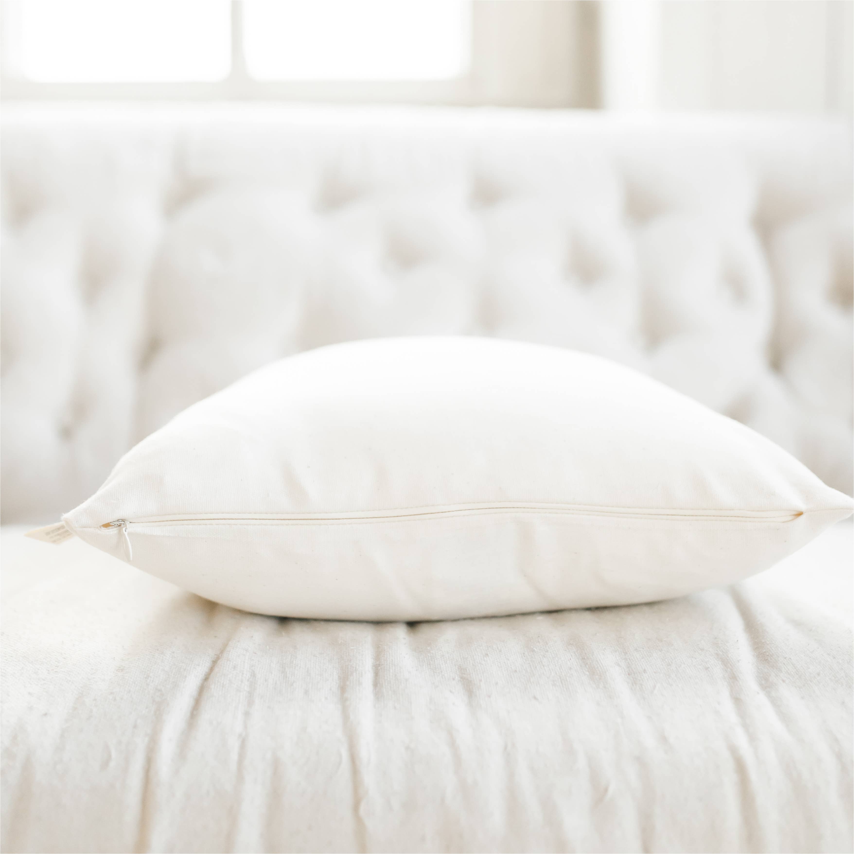 Throw Pillows - Carrots